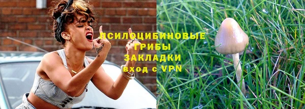 индика Беломорск