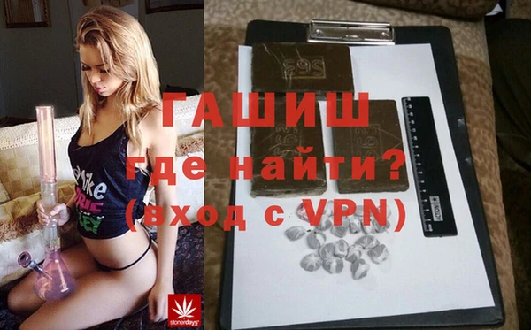 индика Беломорск