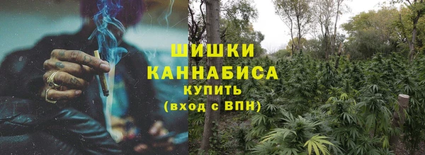 индика Беломорск