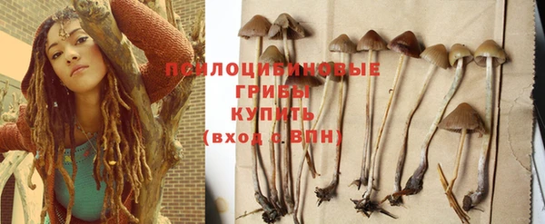 меф Белокуриха