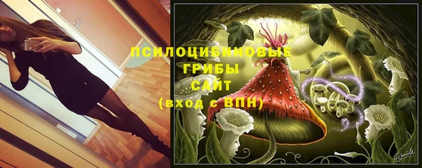 индика Беломорск