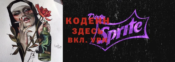 индика Беломорск