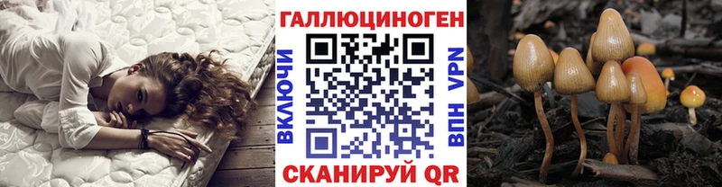 Галлюциногенные грибы ЛСД  Ельня 